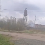 Под Смоленском люди вынуждены дышать дымом из колонии (видео)